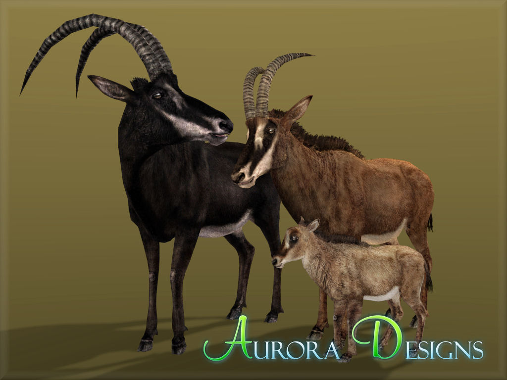 zoo tycoon aurora designs